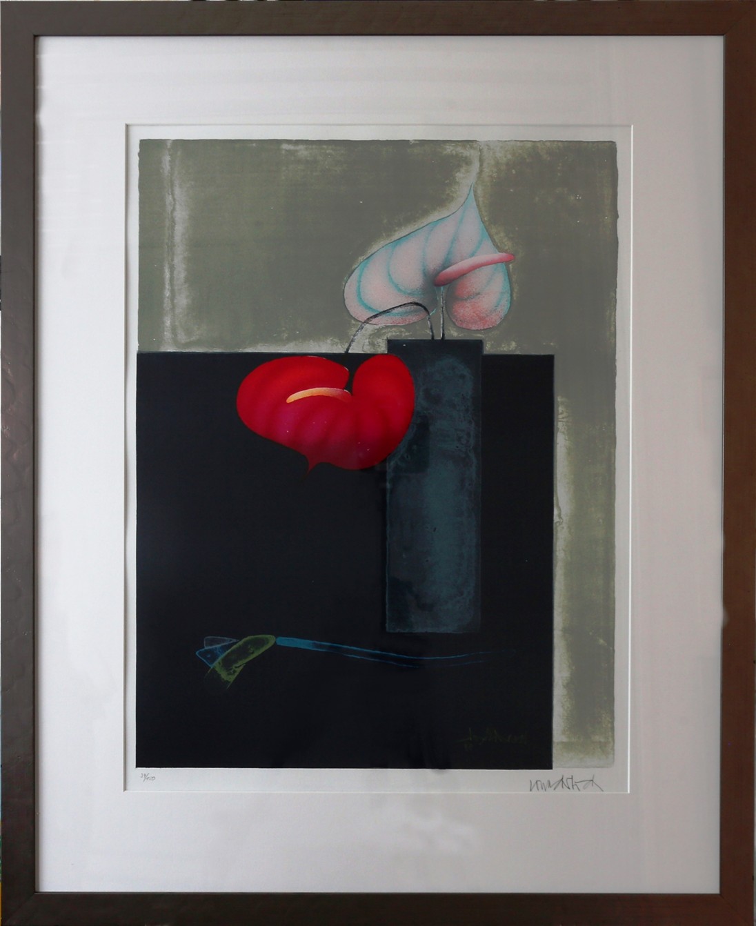 Rote und Weiße Anthurien